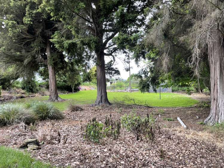 147 Chicory Road Inch Clutha_8