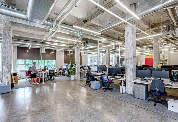 24 Balfour Road Parnell_5