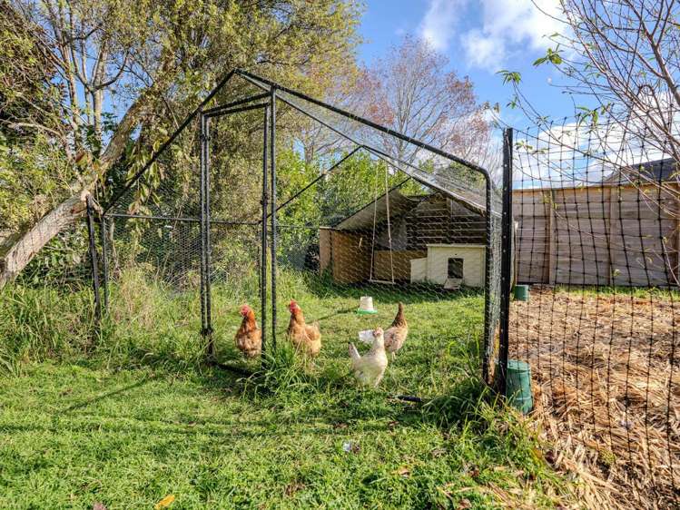 3 Millers Lane Kerikeri_23