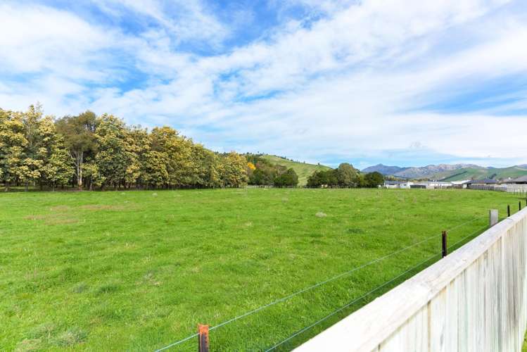 12 Payne Place Witherlea_14