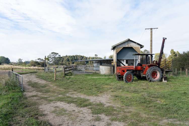 166 Crawford Road Te Kowhai_12