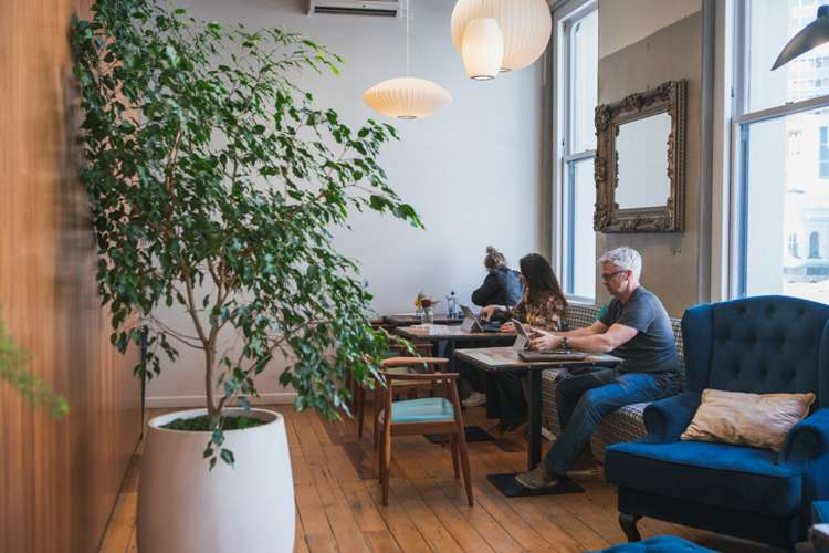 22-28 Customs Street East City Centre_5