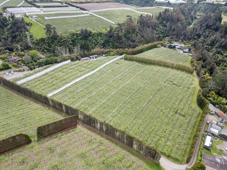 121A No 4 Road Te Puke_7