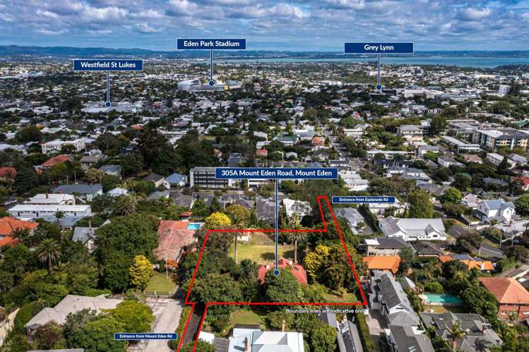 305A Mt Eden Road Mt Eden_2