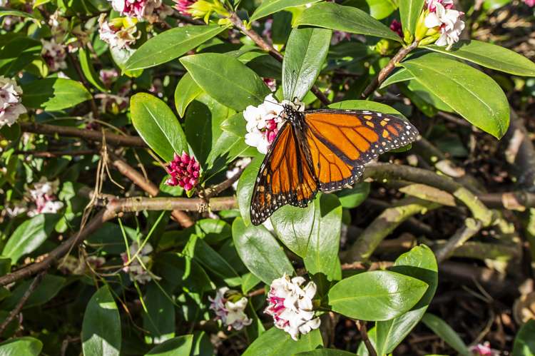 6a Edward Street Lincoln_24