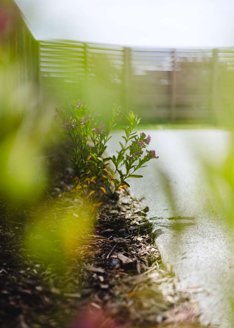 27 Awatea Avenue Paraparaumu_8