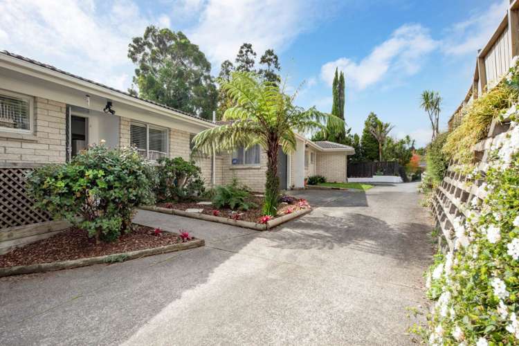 2/14 Havelle Avenue Titirangi_2