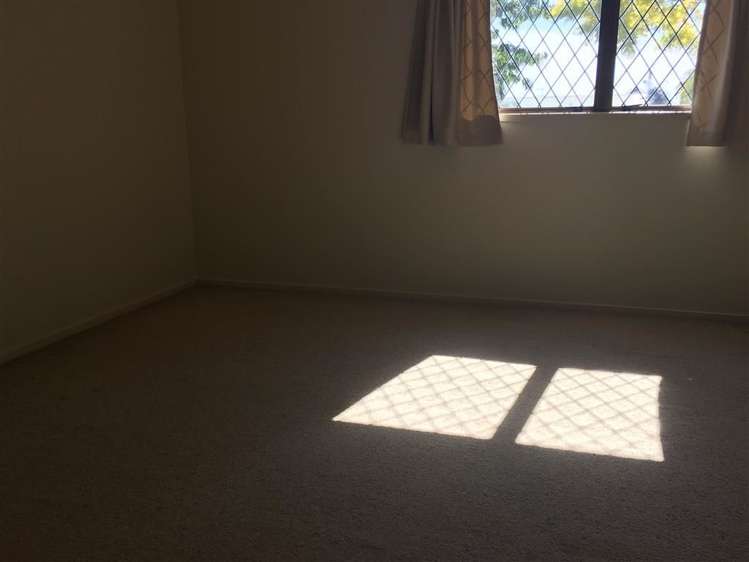 24 Marewa Road Greenlane_5