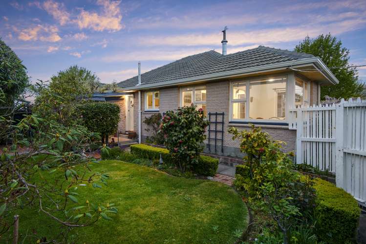4 Vardon Crescent Shirley_13