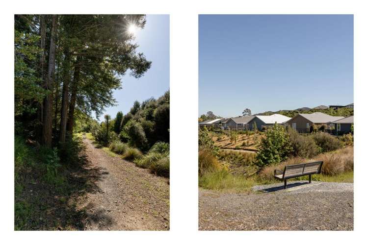 18 Kauri Lane Omokoroa_27