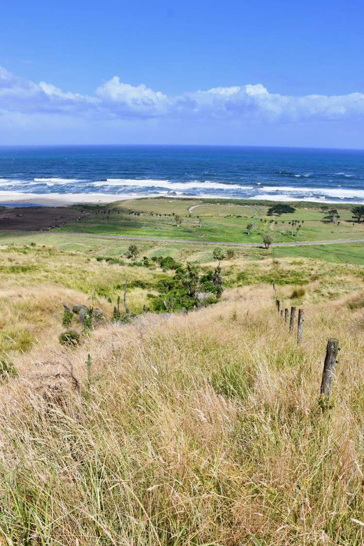 904 Karamea Kohaihai Road Karamea_39