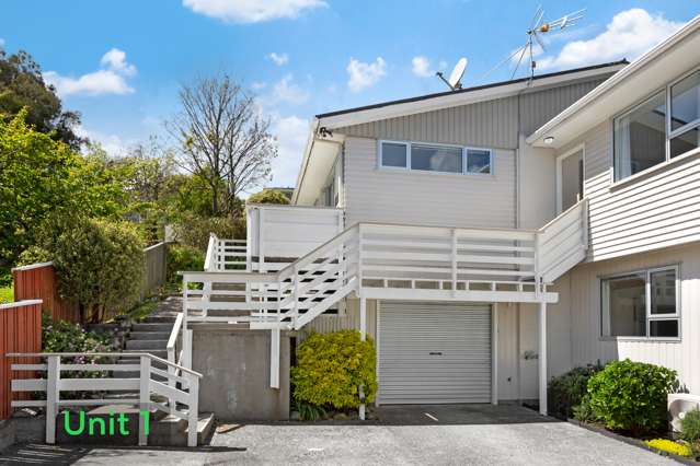 1/7 Arawhata Street Porirua East_1