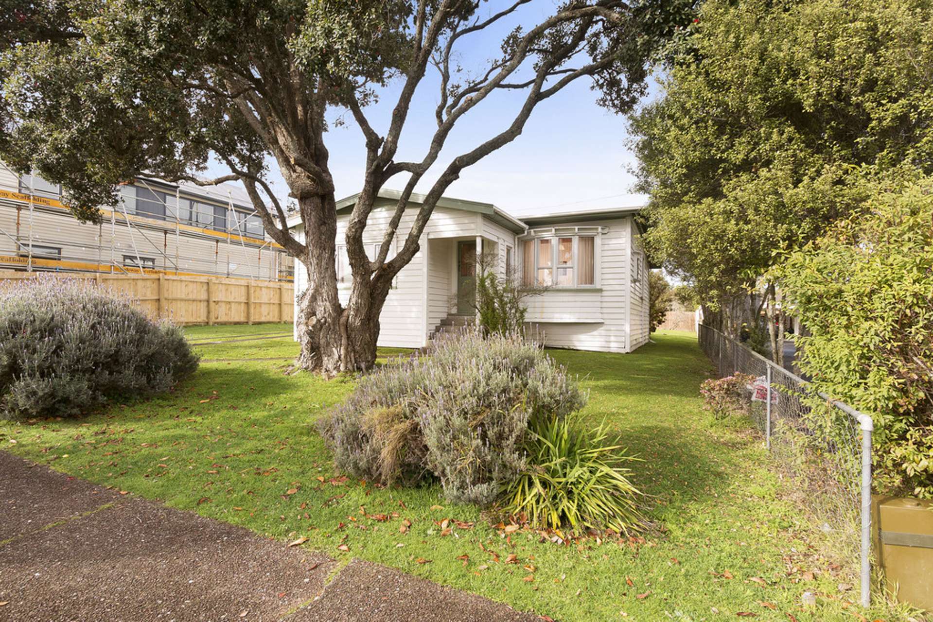 22 Jersey Avenue Mount Albert_0