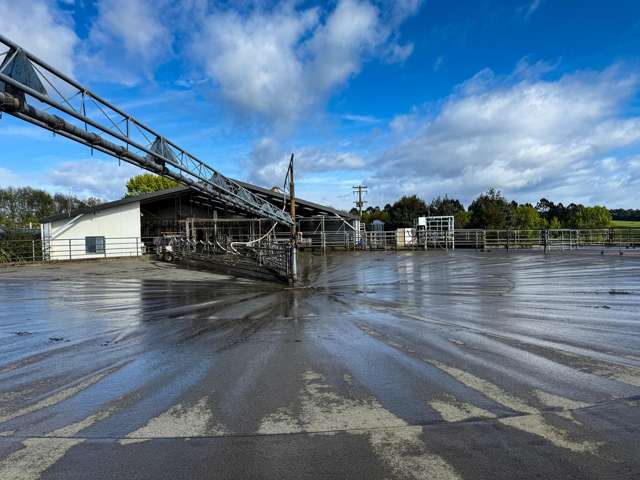 Well Presented Large Scale Dairy Unit