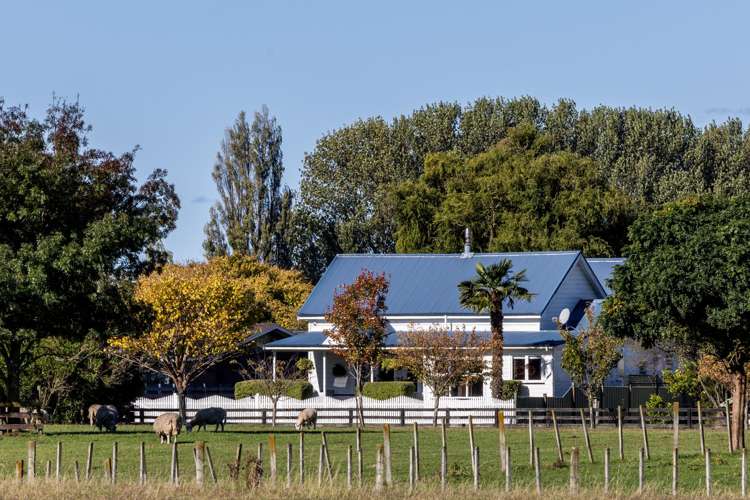 19 Sheehan Street Bay View_17