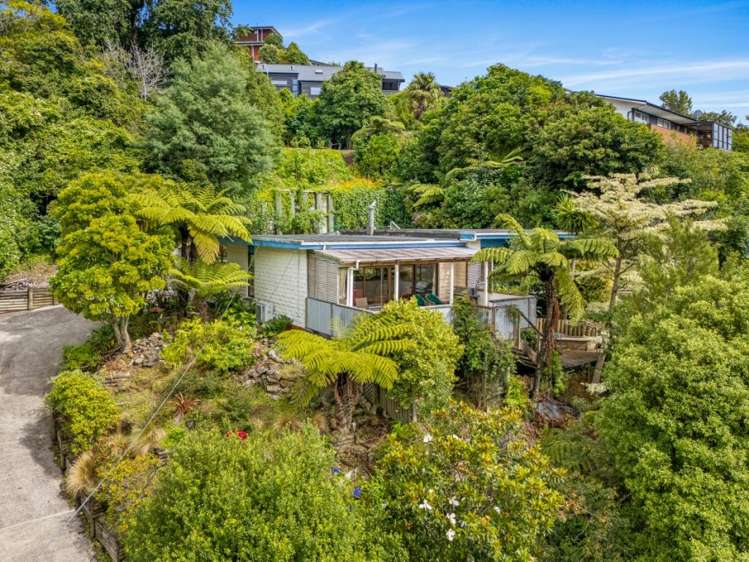 35 Durham Street Picton_29