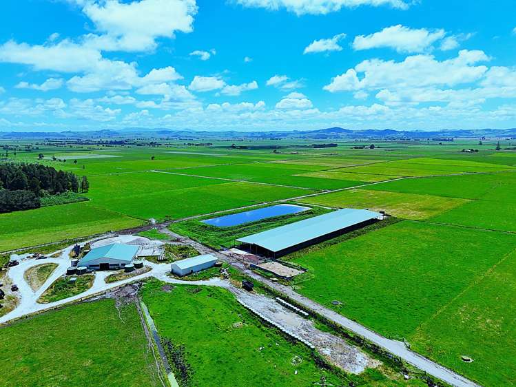 331 Simpson Road Ruawai_1