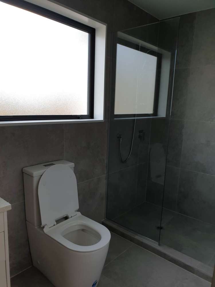 1a Coleman Avenue Mount Roskill_23