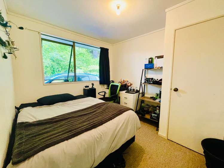 547 Te Matai Road Te Puke_9