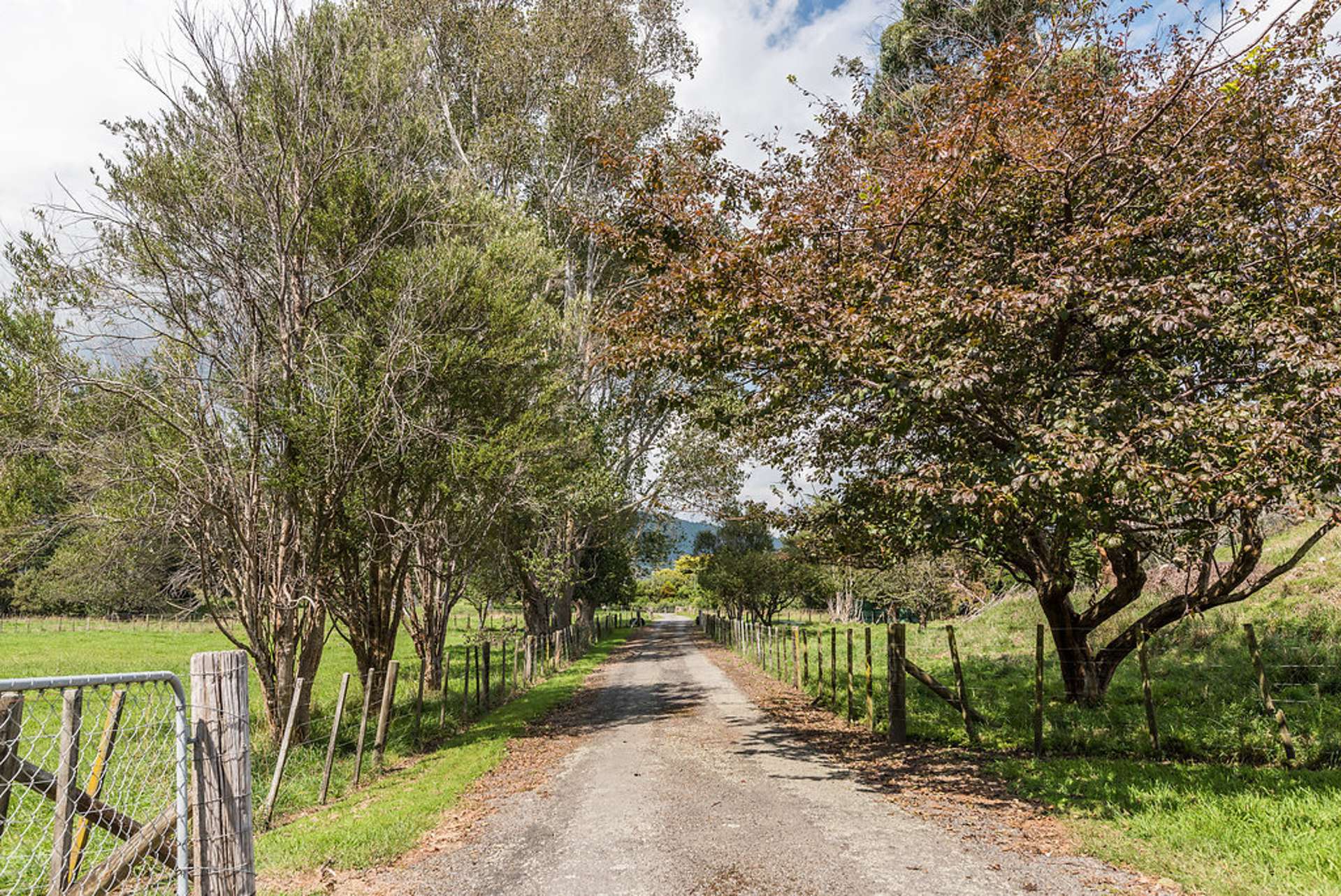 304 Ngarara Road Waikanae_0