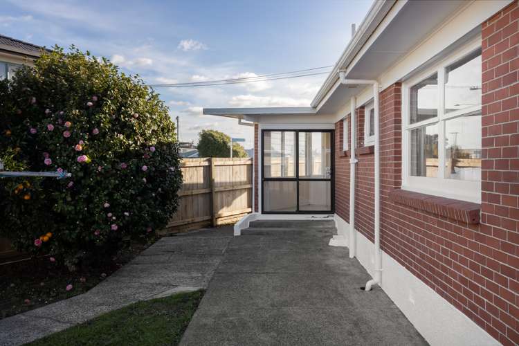 19 Taupo Avenue Mount Maunganui_14