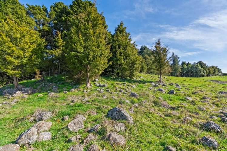 46 Kahikatea Drive Poroti_36