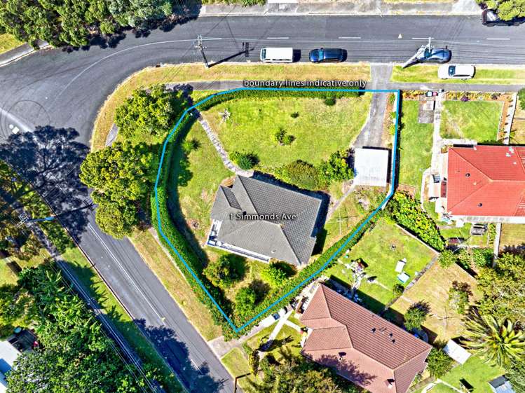 1 Simmonds Avenue_0
