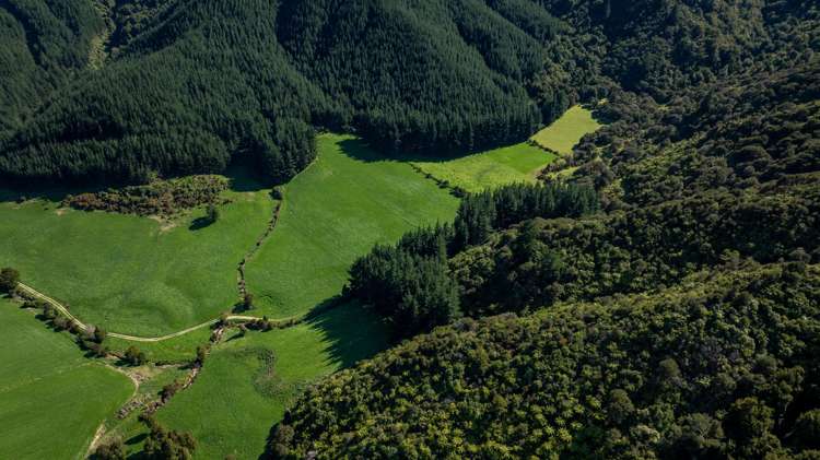 Lot 2 Anakiwa Road Anakiwa_9