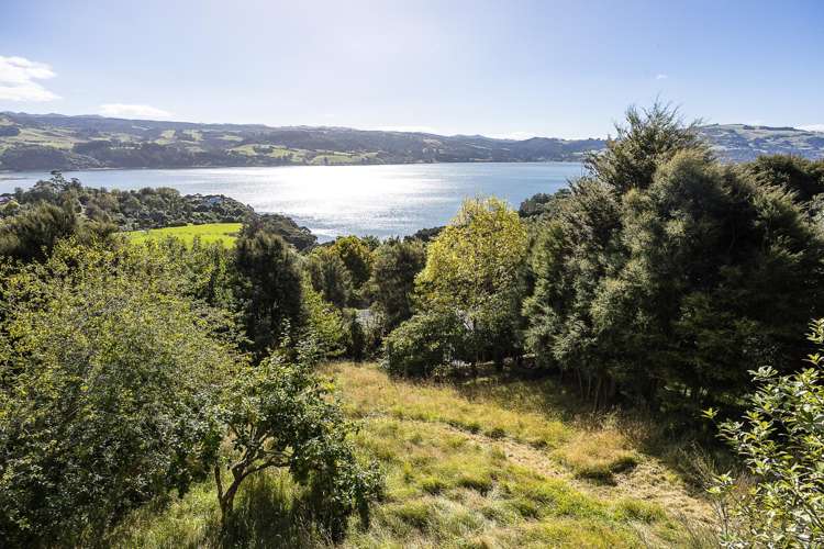 112 Doctors Point Road Waitati_22