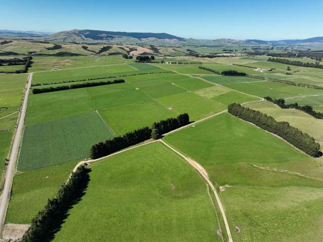 280ha Dairy Grazing Operation