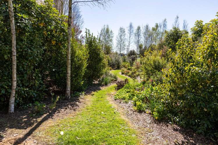 524 Top Grass Road Dannevirke_21