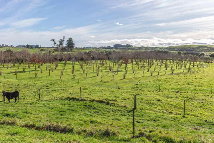 947 Koputaroa Road Koputaroa_25