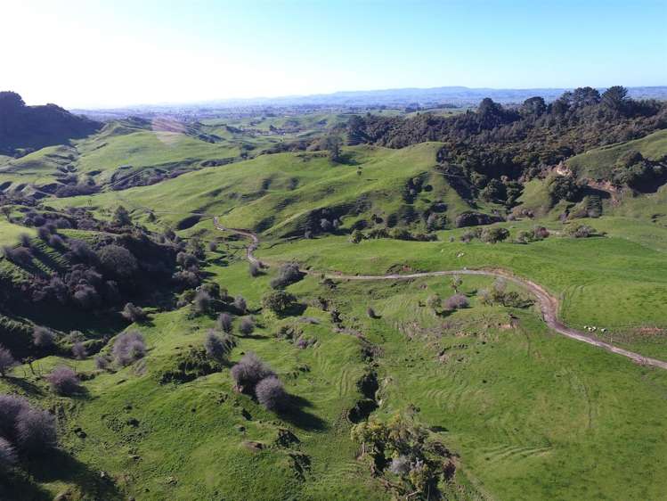 523 Honikiwi Road Otorohanga_16