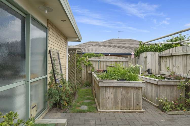 24 Denny Hulme Drive Mount Maunganui_14