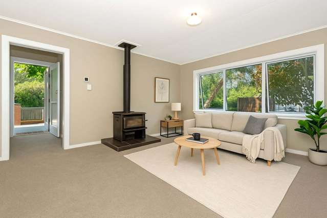 8 Massey Road Mangapapa_1