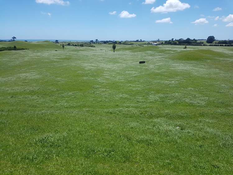 139 Bayly Road Warea_20