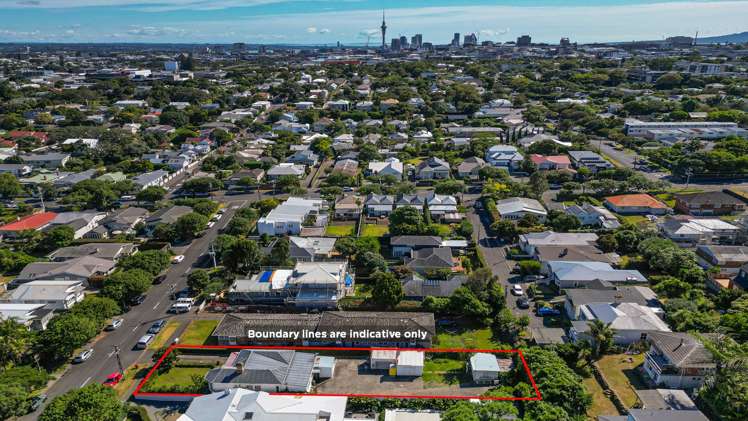 12 Kenyon Avenue Mt Eden_6