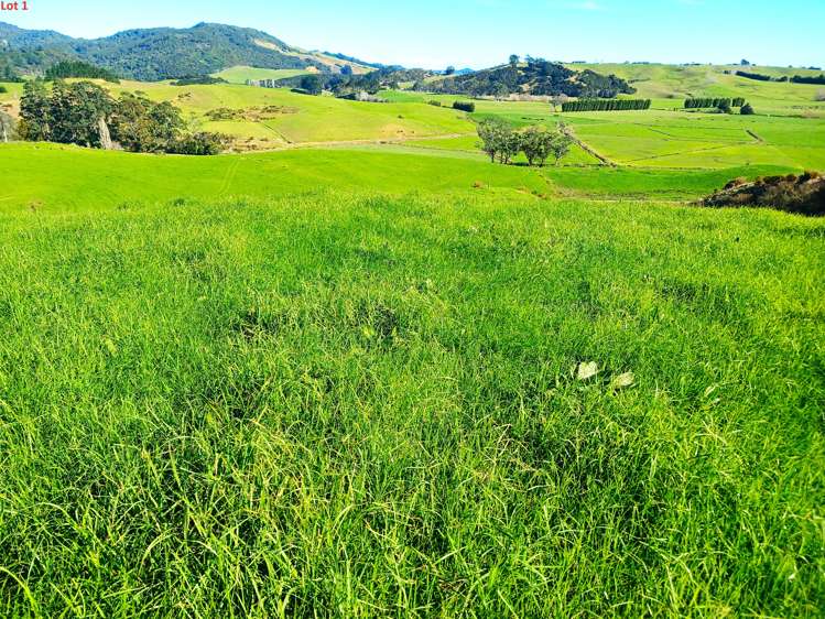 Lots 1 & 2 Larmers Road Kaitaia_22