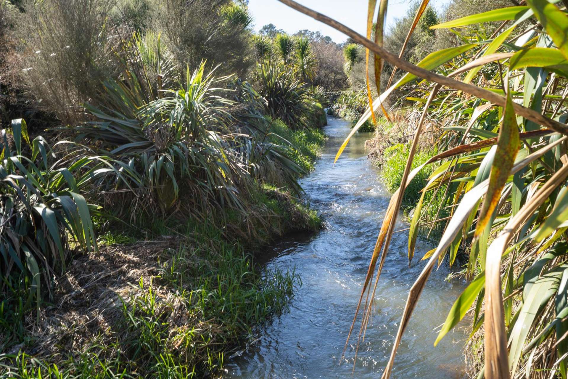 351 Scotsman Valley Road Tauwhare_0