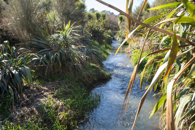 351 Scotsman Valley Road_0