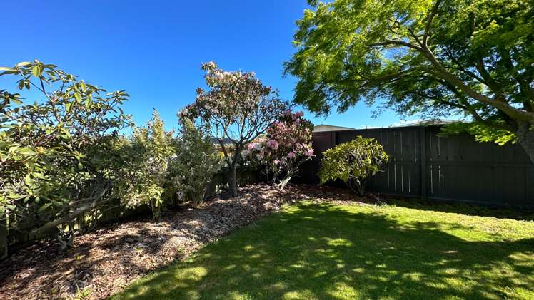 8 Queens Drive Allenton_17