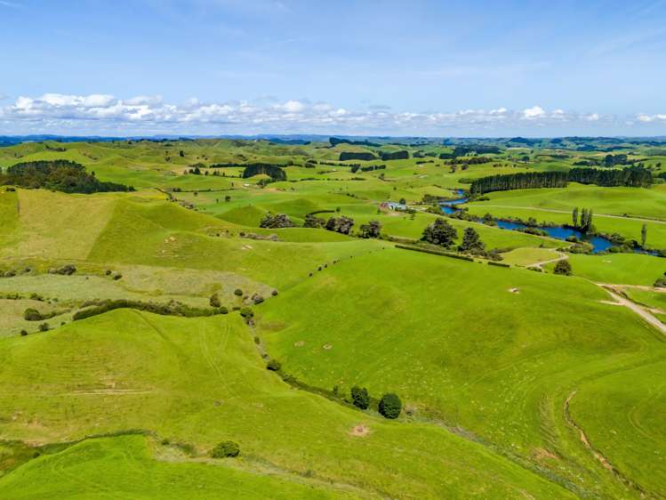 137 Ratapiko Road Ratapiko_21