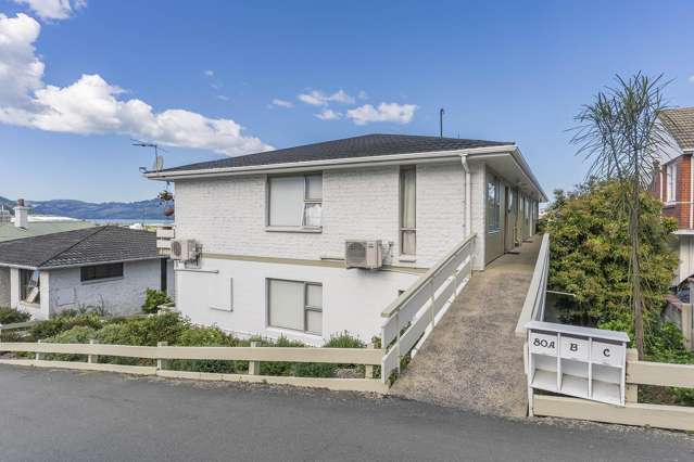 80C London Street Dunedin Central_1