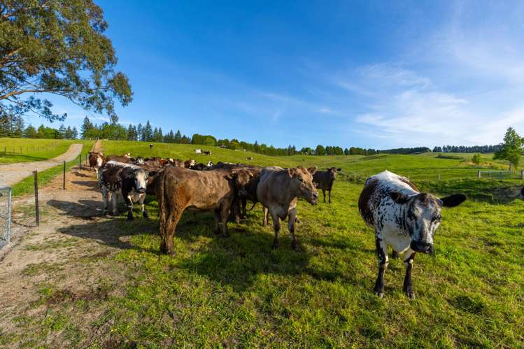 182 Malling Road Redwood Valley_50