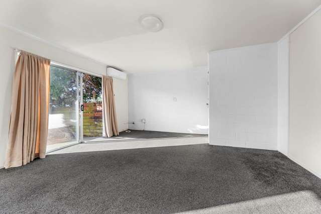 2/30 Princes Street Otahuhu_1