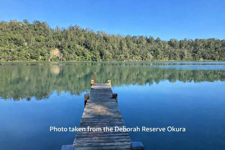 109 Okura River Road Okura_14