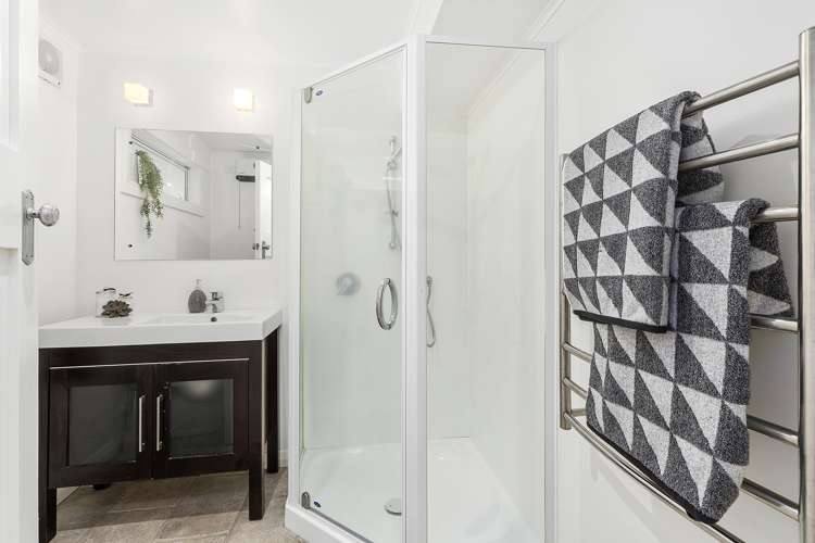 41 Awa Road Miramar_7