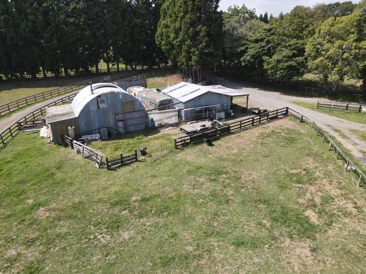 542 Tirau Road Cambridge_5