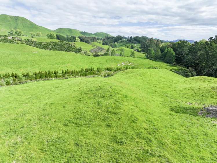 112A Puaiti Road Waikite Valley_8