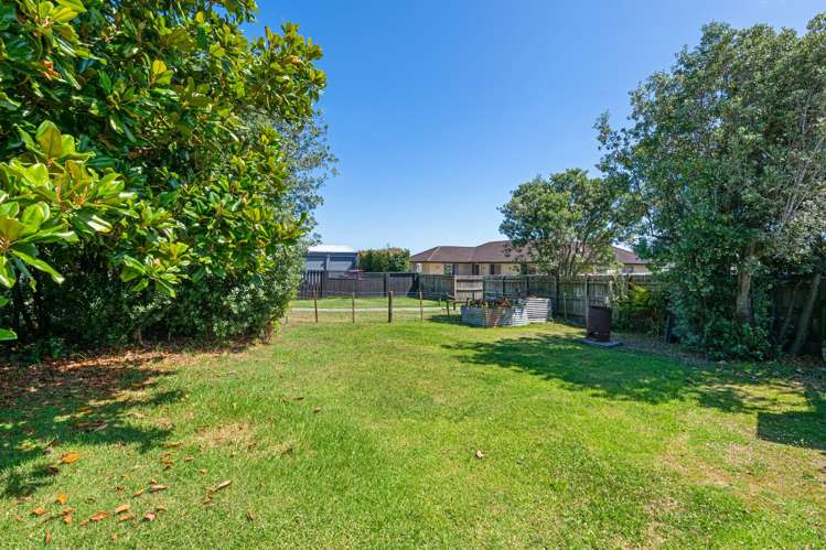 4 James Mcleod Road Shelly Beach_15